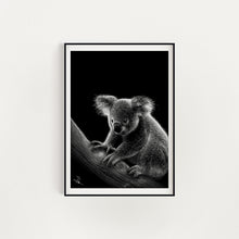 Load image into Gallery viewer, KOALA
