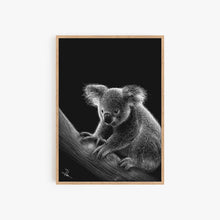 Load image into Gallery viewer, KOALA
