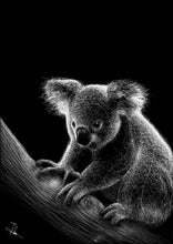 Load image into Gallery viewer, KOALA
