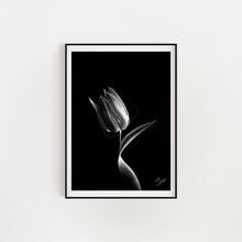 Load image into Gallery viewer, TULIP
