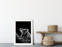 Load image into Gallery viewer, KOALA
