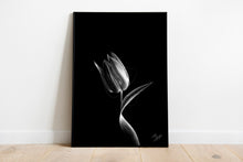 Load image into Gallery viewer, TULIP
