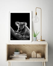 Load image into Gallery viewer, KOALA
